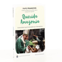 QUERIDA AMAZONIA - AMAZONIE BIEN AIMÉE