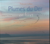 PLUMES DU DER EN HIVER