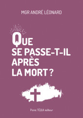 QUE SE PASSE-T-IL APRÈS LA MORT ?