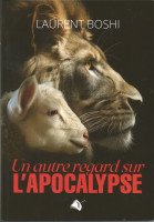 UN AUTRE REGARD SUR L'APOCALYPSE