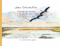 CARNET DE TERRAIN AU LAC DU DER -2- comme les grues.